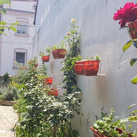 Garden Apartments Белград Екстер'єр фото