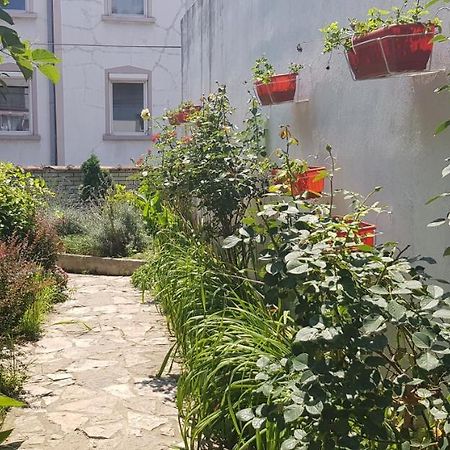 Garden Apartments Белград Екстер'єр фото