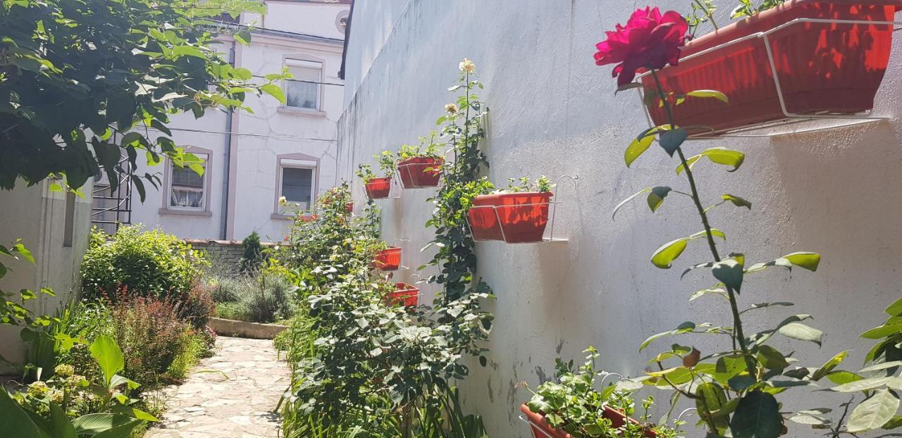 Garden Apartments Белград Екстер'єр фото